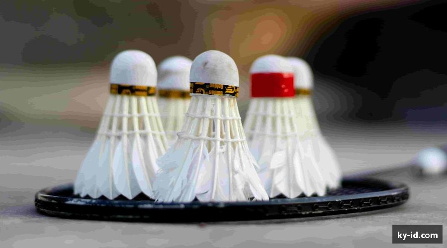 J9.COM·(中国区)官方网站🏀 每一场对决，都是心跳的证明！